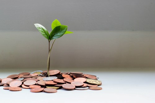 leaves sprouting out of coins