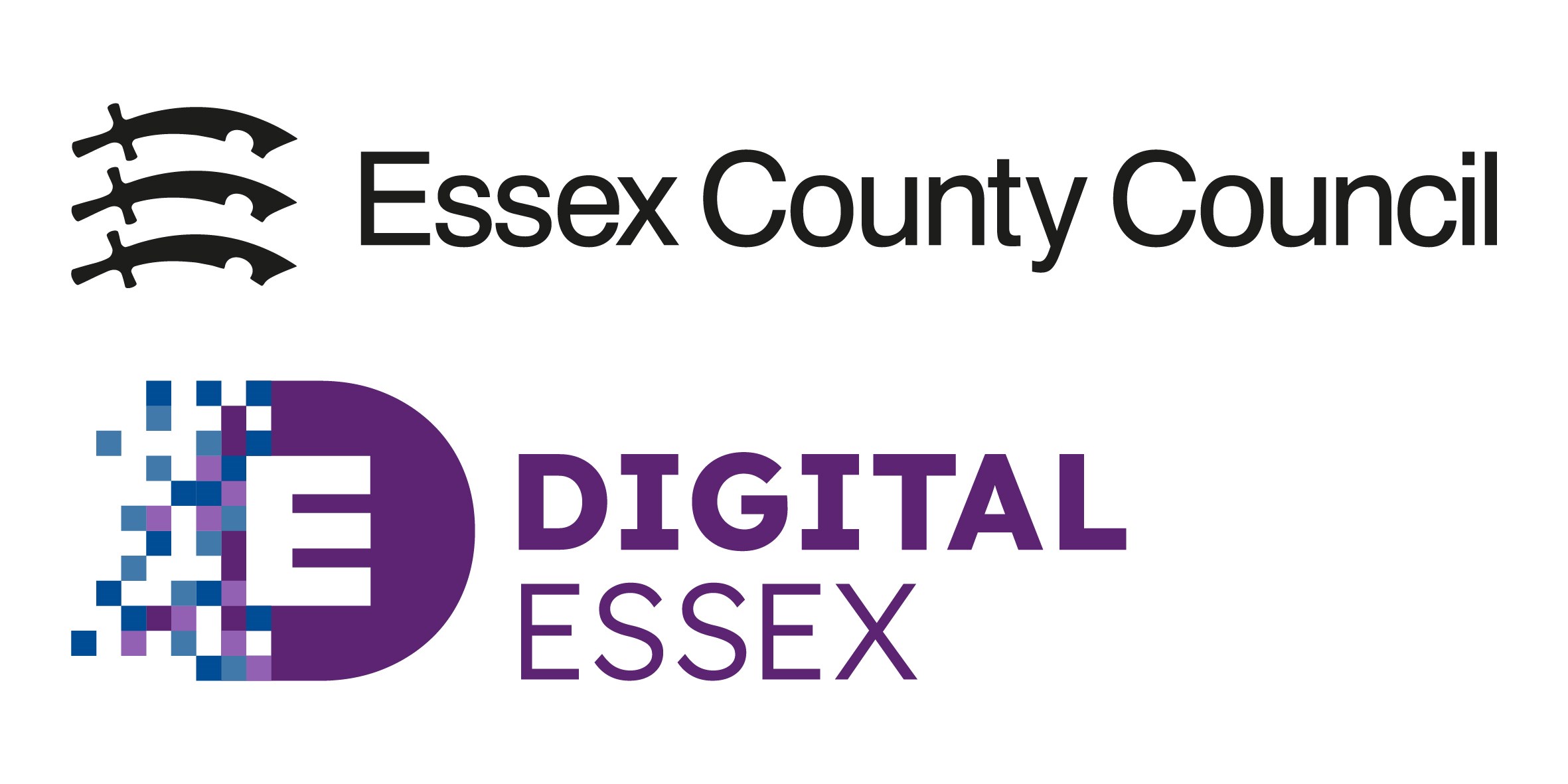 Digital Essex logo
